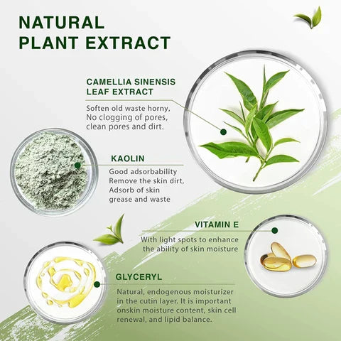 Natural plant extract ingredients for green tea oil control face mask including camellia sinensis, kaolin, vitamin E, and glyceryl